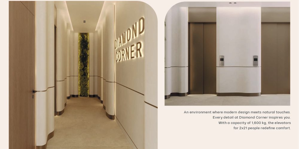 DIAMOND CORNER PROJECT CERENIM_page-0007